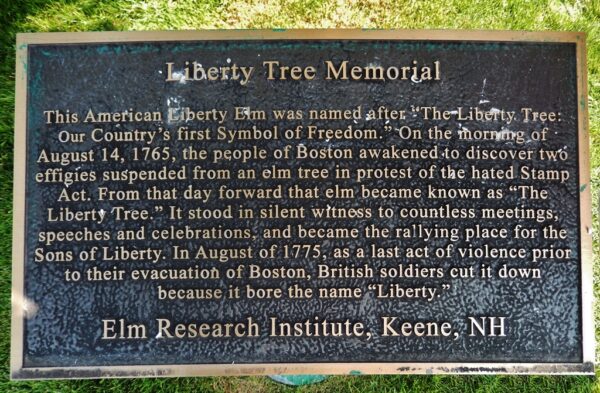 HOLYOKE LIBERTY TREE MEMORIAL PLAQUE