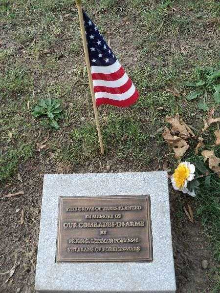 IN MEMORY OF OUR COMRADES-IN-ARMS MEMORIAL TREE PLAQUE