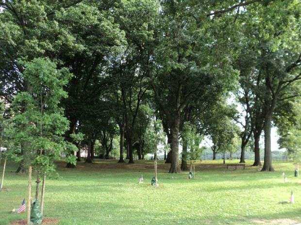 VAN CORTLANDT MEMORIAL GROVE