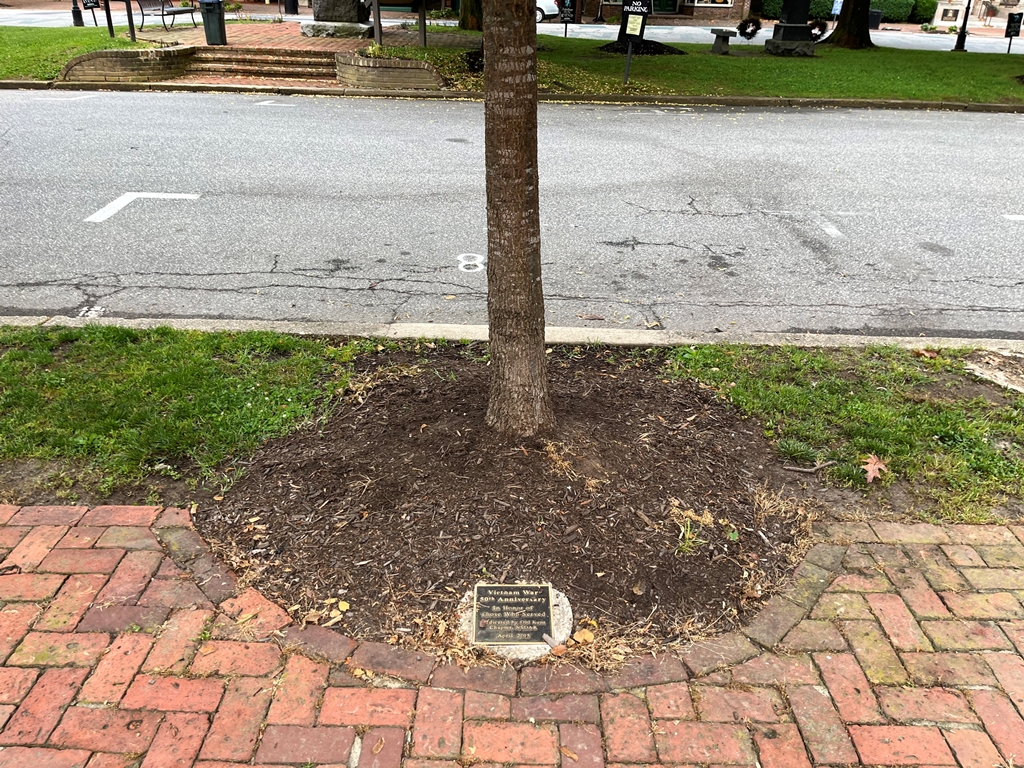 VIETNAM WAR 50TH ANNIVERSARY MEMORIAL TREE