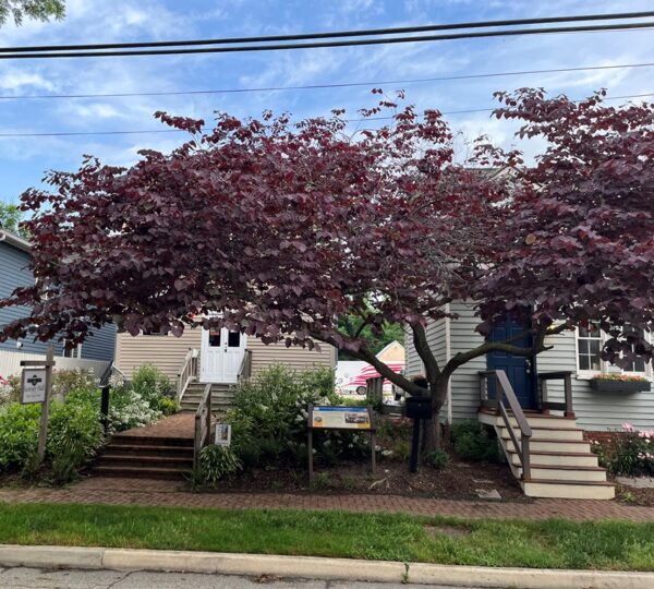 CHARLES SUMNER POST #25 G.A.R. WAR MEMORIAL