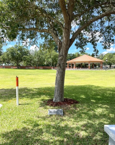 OCALA THE LIBERTY TREE MEMORIAL