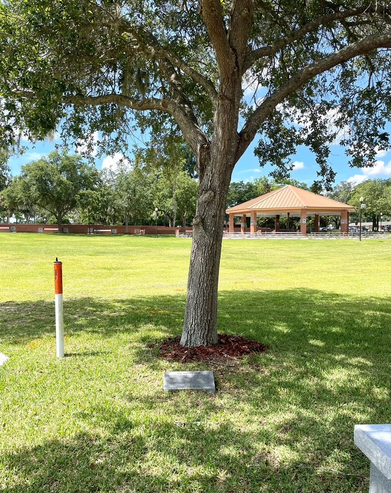 OCALA THE LIBERTY TREE MEMORIAL