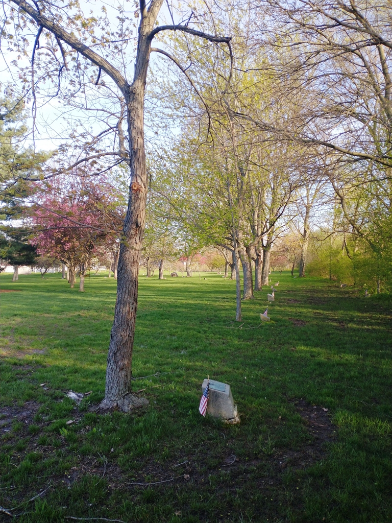 WADE L. SHULL WAR MEMORIAL TREE