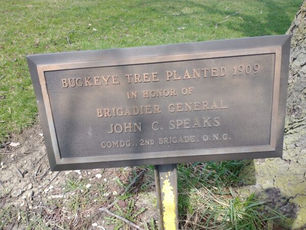 BUCKEYE TREE PLANTED 1909 BRIGADIER GENERAL JOHN C. SPEAKS MEMORIAL PLAQUE