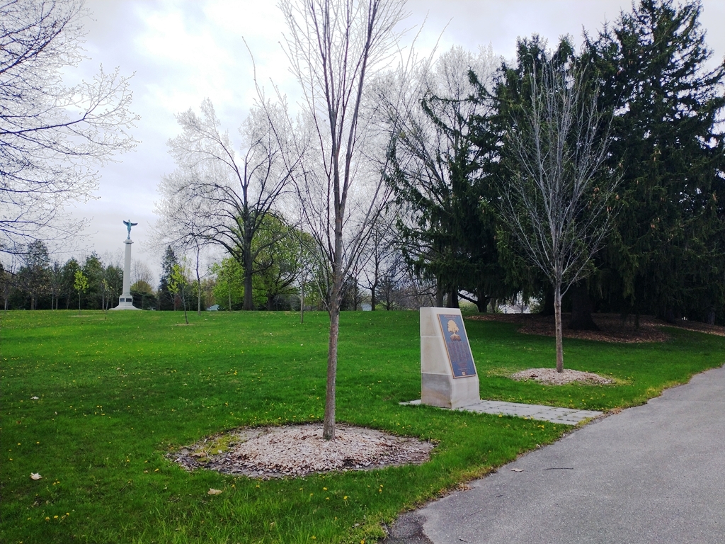 OPERATION MP-125 VETERANS MEMORIAL GROVE