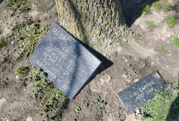 MEDAL OF HONOR RED OAK TREE MEMORIAL PLAQUES