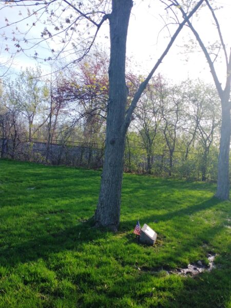 DON W. MOORE WAR MEMORIAL TREE