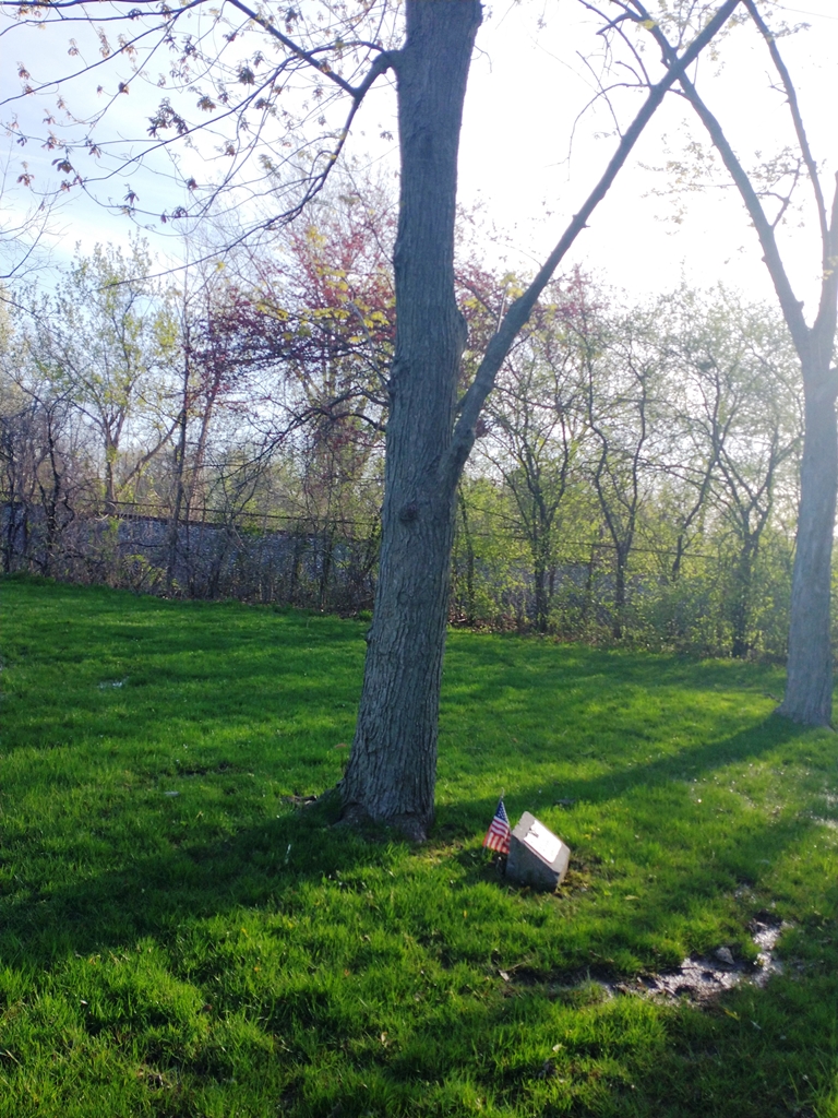 DON W. MOORE WAR MEMORIAL TREE