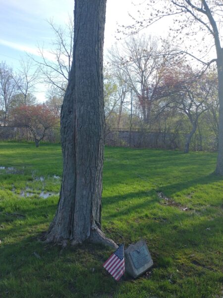 GLEN V. MATHEWSON WAR MEMORIAL TREE