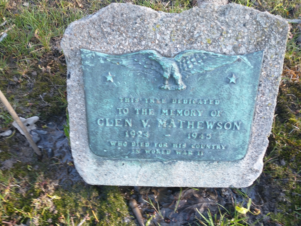 GLEN V. MATHEWSON WAR MEMORIAL TREE PLAQUE