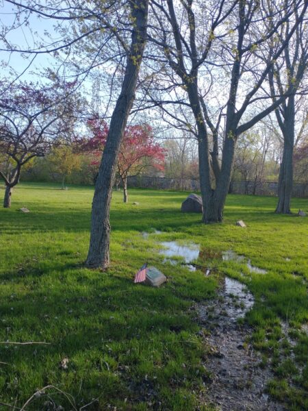 WILLIAM KRAMER WAR MEMORIAL TREE