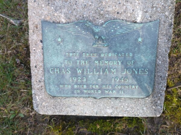 CHAS WILLIAM JONES WAR MEMORIAL TREE PLAQUE
