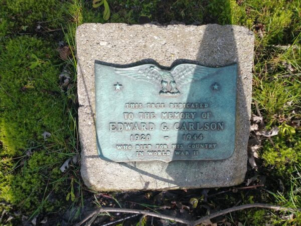 EDWARD G. CARLSON WAR MEMORIAL TREE PLAQUE