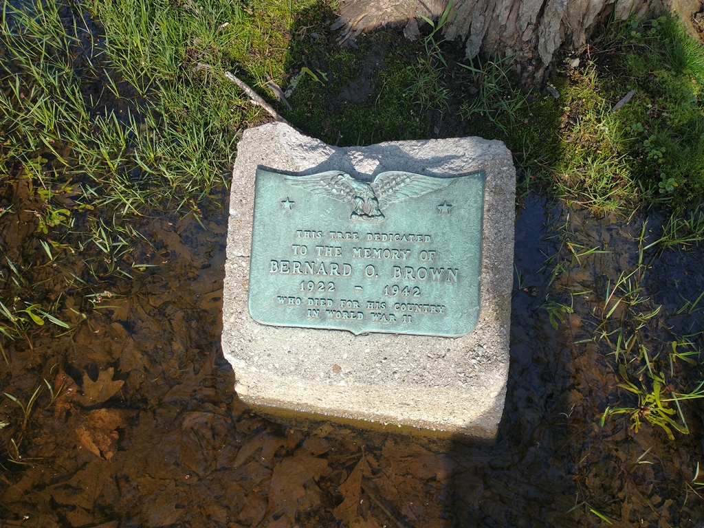 BERNARD O. BROWN WAR MEMORIAL TREE PLAQUE