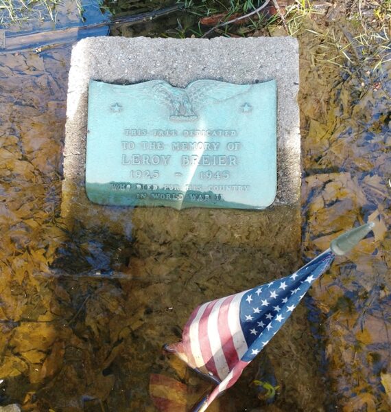 LEROY BREIER WAR MEMORIAL TREE PLAQUE