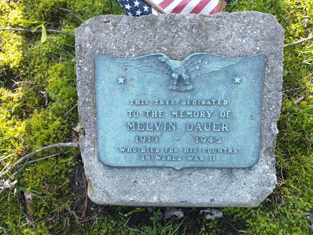 MELVIN DAUER WAR MEMORIAL TREE PLAQUE