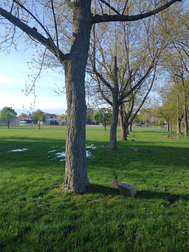 LEON R. HARRWALDT WAR MEMORIAL TREE