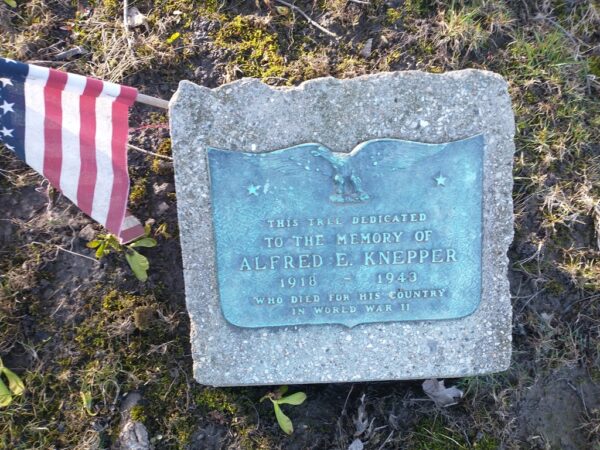 ALFRED E. KNEPPER WAR MEMORIAL TREE PLAQUE