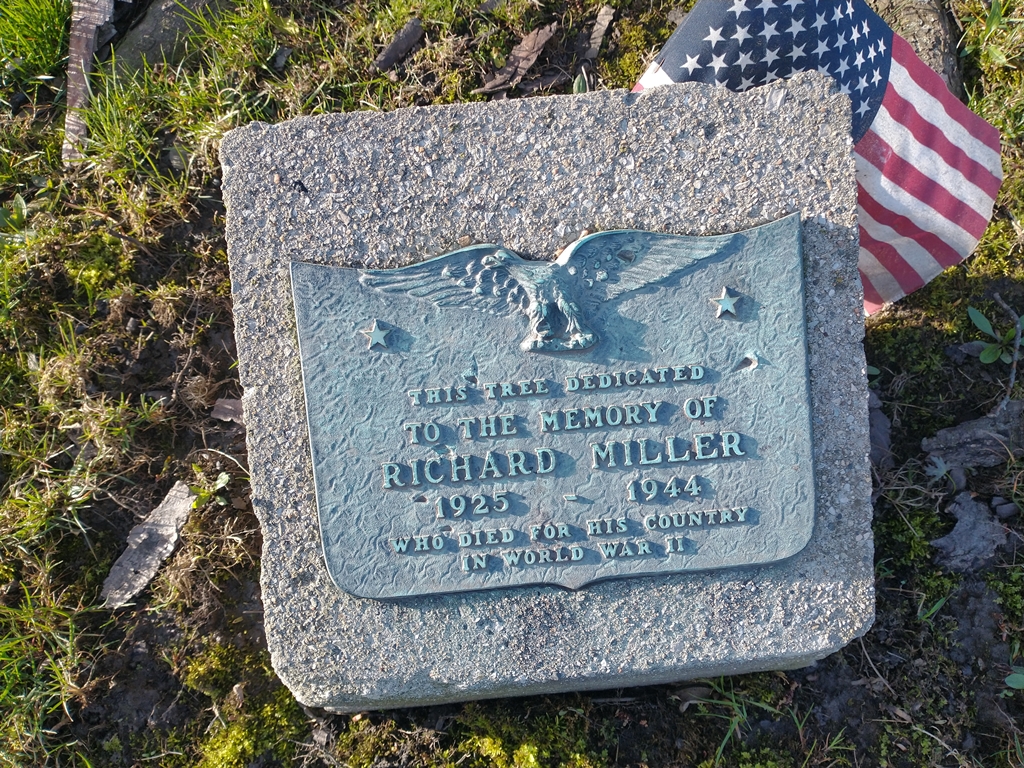 RICHARD MILLER WAR MEMORIAL TREE PLAQUE