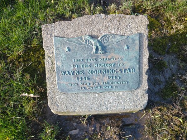 WAYNE MORNINGSTAR WAR MEMORIAL TREE PLAQUE
