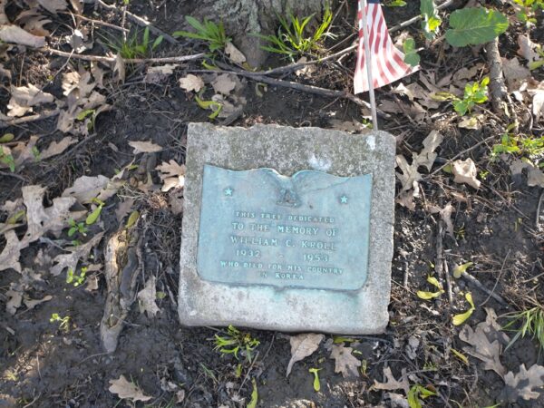 WILLIAM C. KROLL WAR MEMORIAL TREE PLAQUE