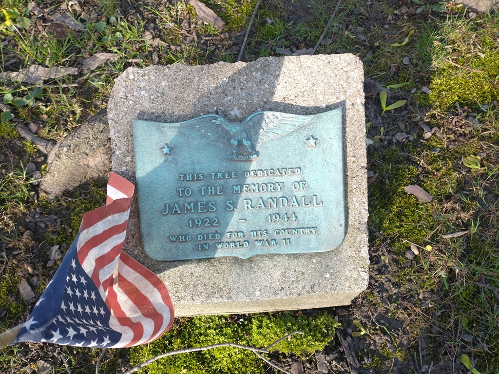 JAMES S. RANDALL WAR MEMORIAL TREE PLAQUE
