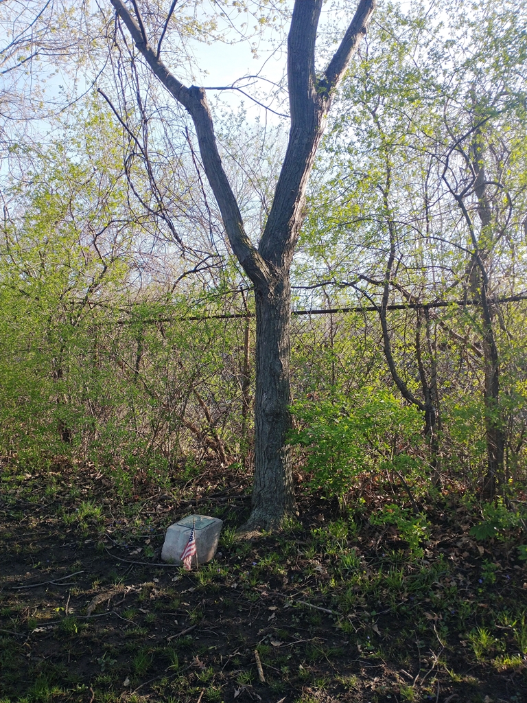 DON J. DOREMUS WAR MEMORIAL TREE