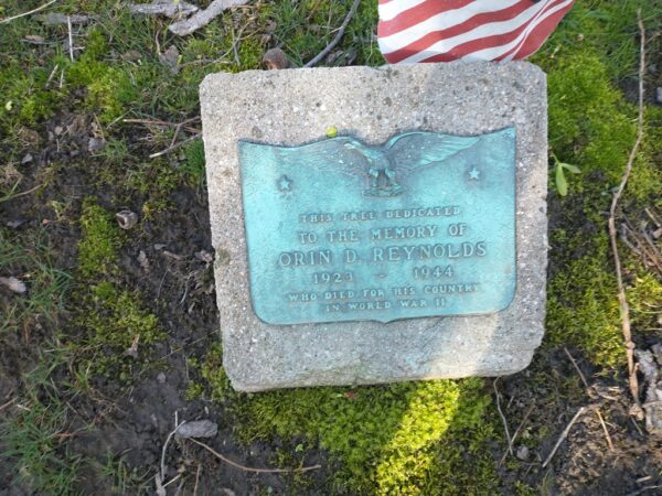 ORIN D. REYNOLDS WAR MEMORIAL TREE PLAQUE