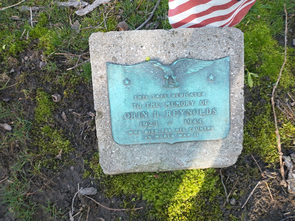 ORIN D. REYNOLDS WAR MEMORIAL TREE PLAQUE