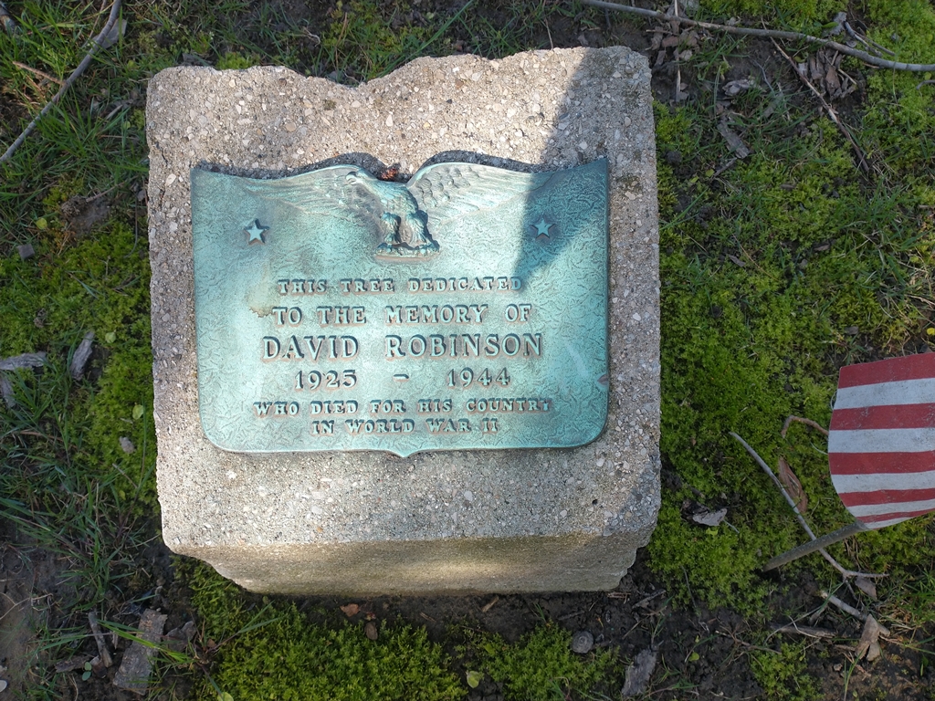 DAVID ROBINSON WAR MEMORIAL TREE PLAQUE