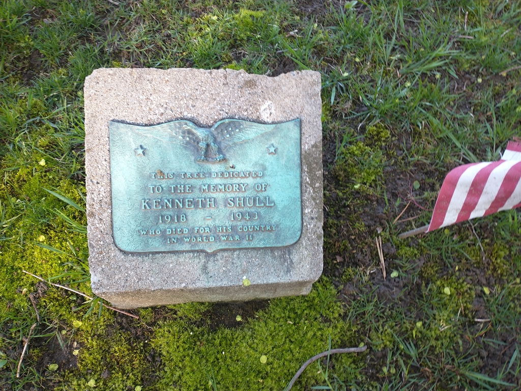 KENNETH SHULL WAR MEMORIAL TREE PLAQUE