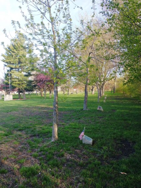 RAY SPORLEDER WAR MEMORIAL TREE