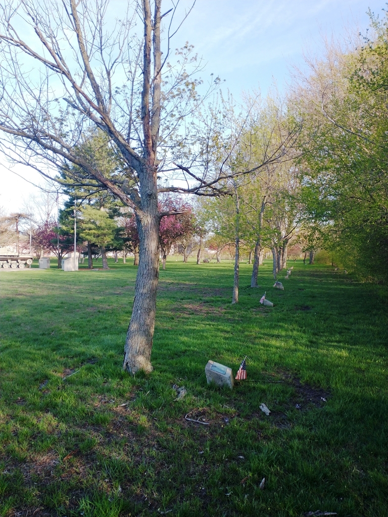 PAUL TAYLOR WAR MEMORIAL TREE
