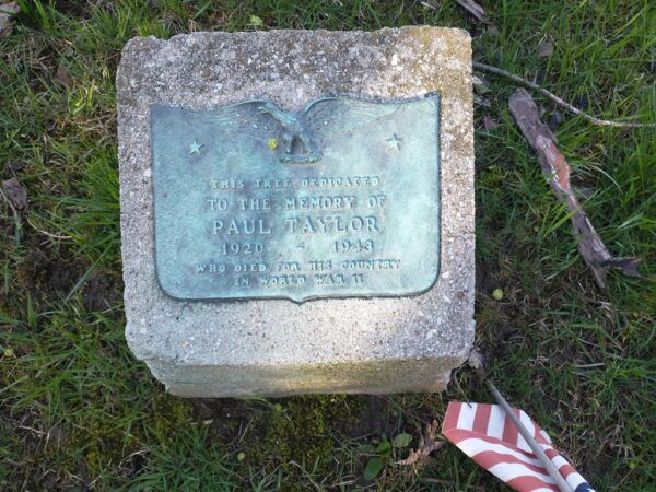 PAUL TAYLOR WAR MEMORIAL TREE PLAQUE