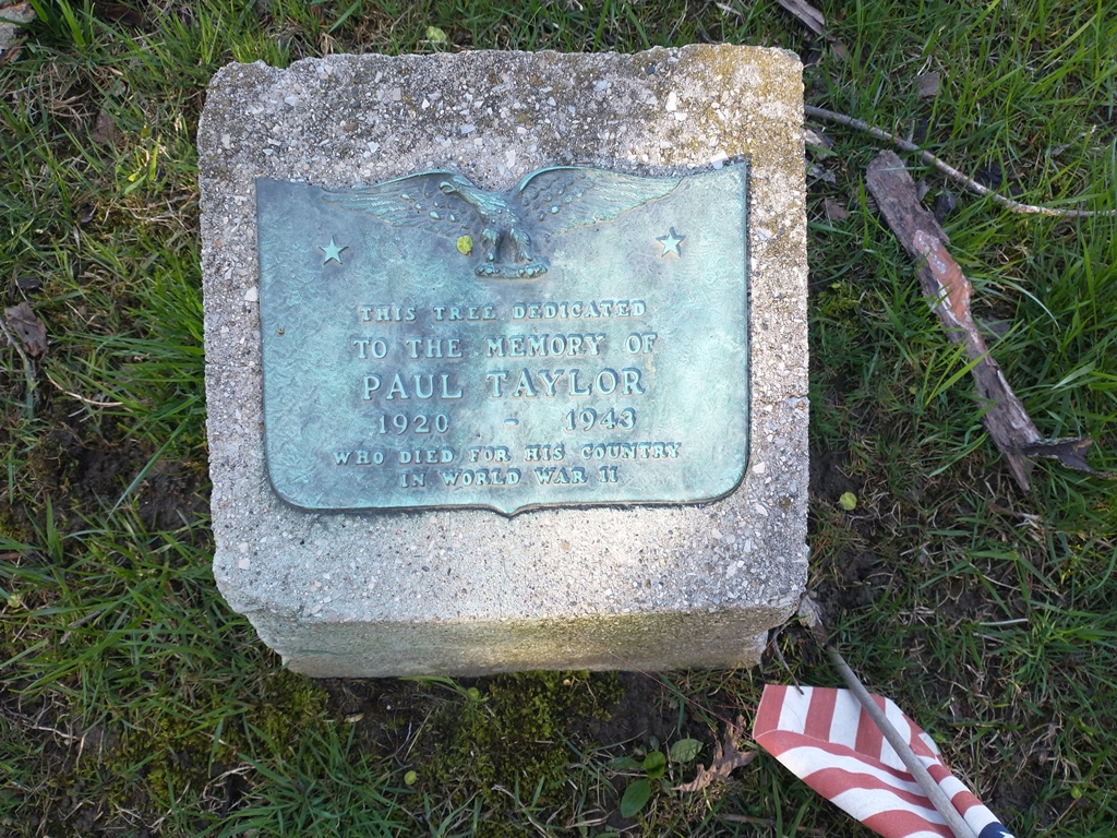 PAUL TAYLOR WAR MEMORIAL TREE PLAQUE
