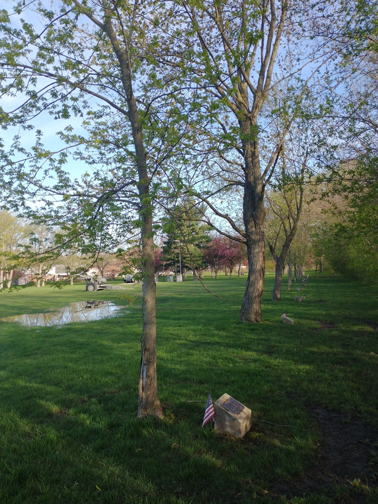 ANTHONY WIECZOREK WAR MEMORIAL TREE