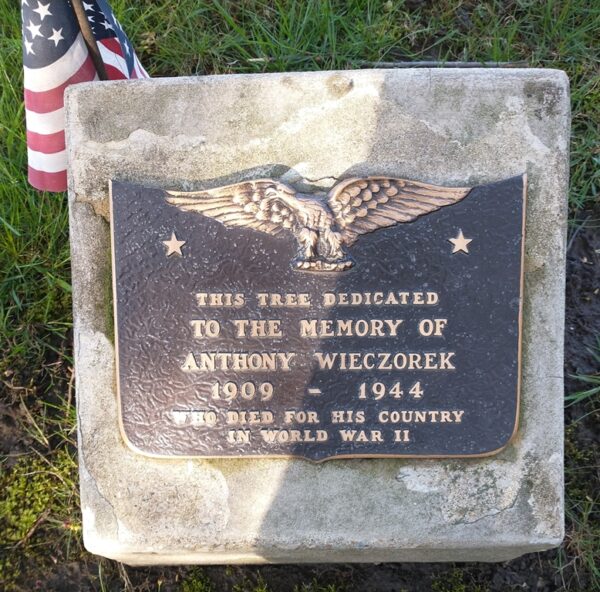 ANTHONY WIECZOREK WAR MEMORIAL TREE PLAQUE
