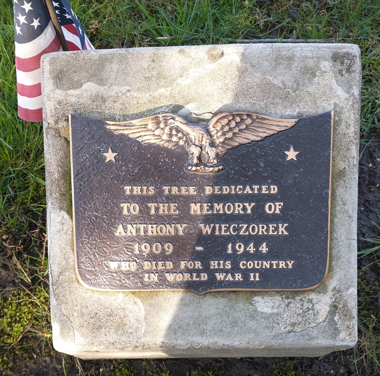 ANTHONY WIECZOREK WAR MEMORIAL TREE PLAQUE