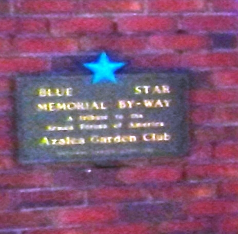 TIFTON BLUE STAR MEMORIAL BY-WAY PLAQUE
