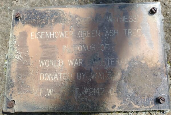 OTTAWA EISENHOWER GREEN ASH TREE MEMORIAL PLAQUE