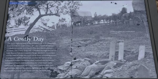 A COSTLY DAY WAR MEMORIAL PANEL