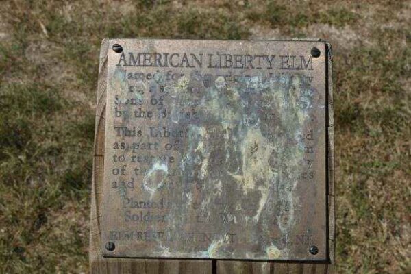 WAUPUN AMERICAN LIBERTY ELM MEMORIAL PLAQUE