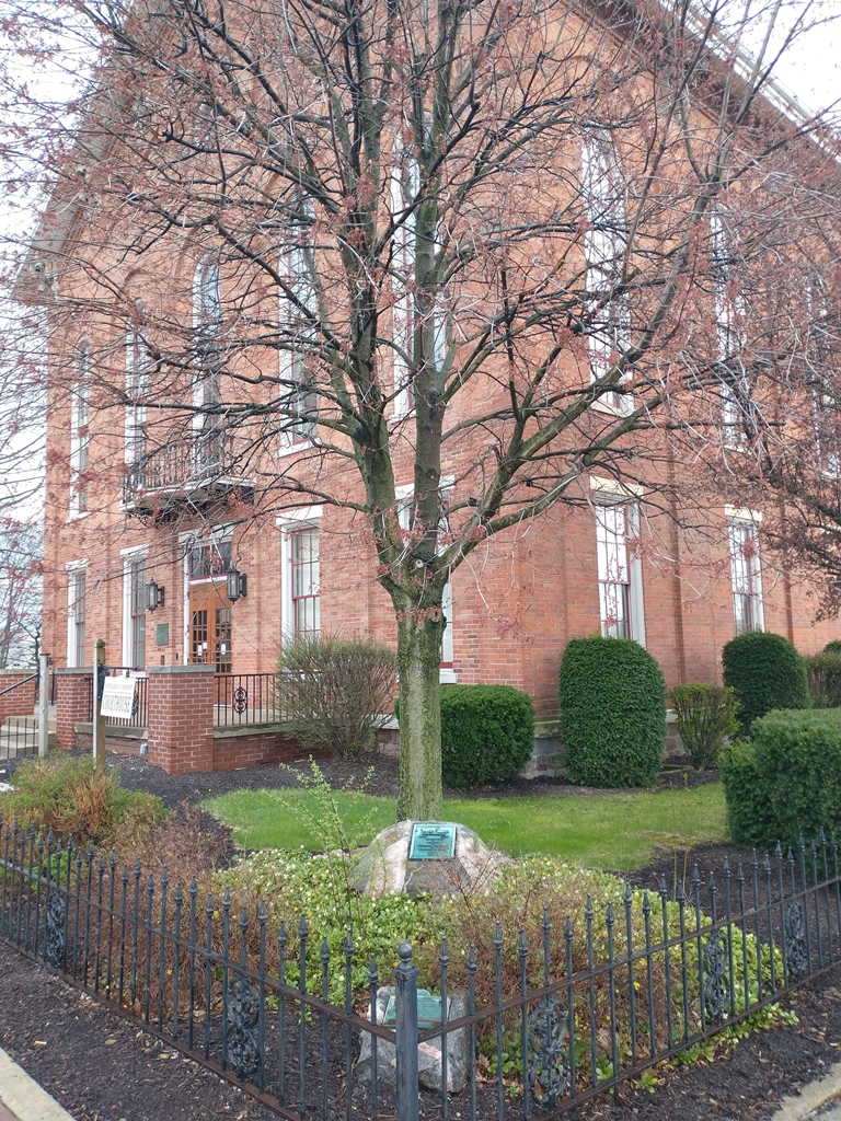 THE 100TH BIRTHDAY OF DANIEL R. WISEL WAR MEMORIAL TREE
