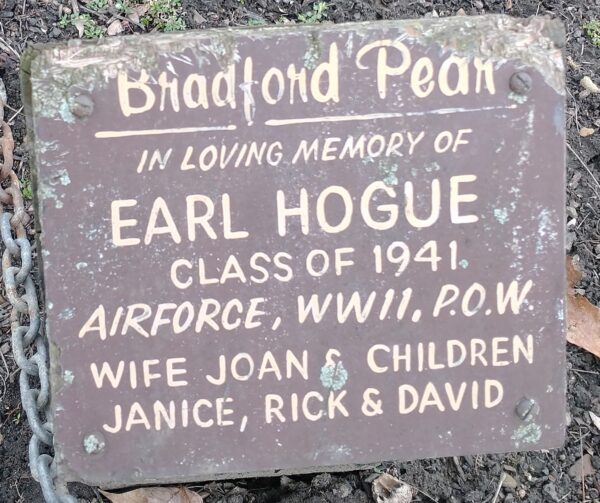 EARL HOGUE BRADFORD PEAR MEMORIAL TREE PLAQUE