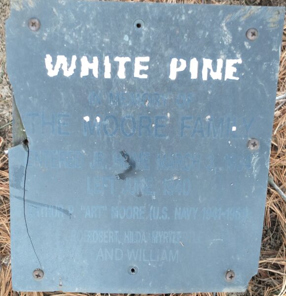 THE MOORE FAMILY WHITE PINE MEMORIAL TREE PLAQUE