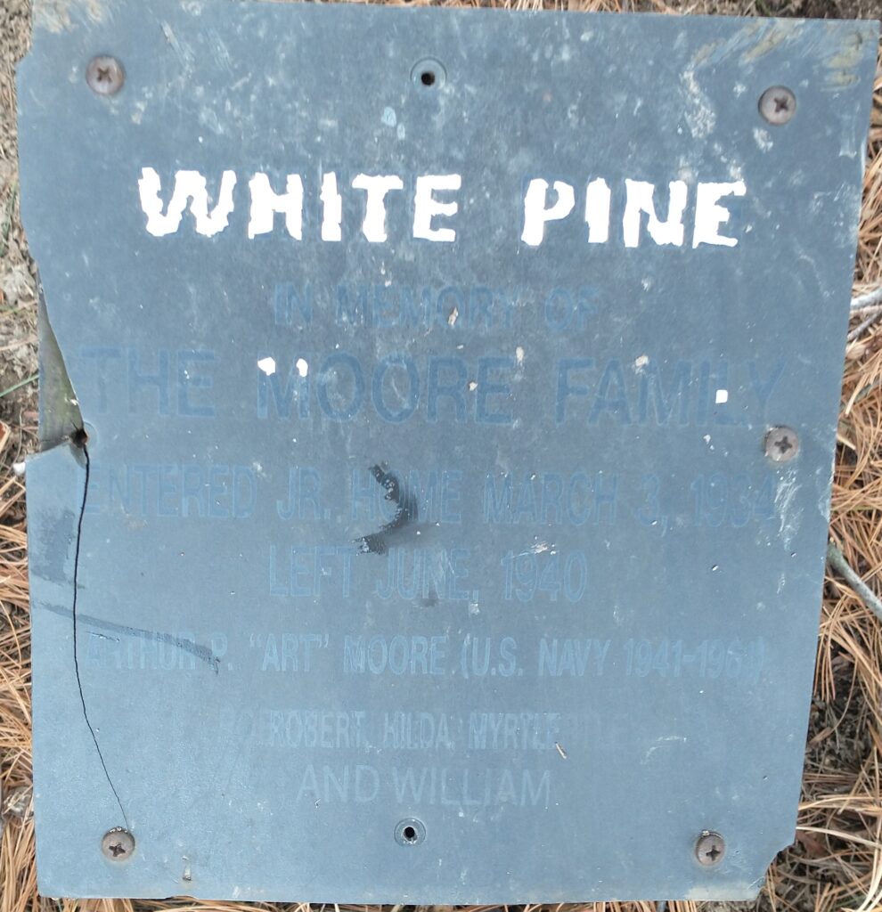 THE MOORE FAMILY WHITE PINE MEMORIAL TREE PLAQUE