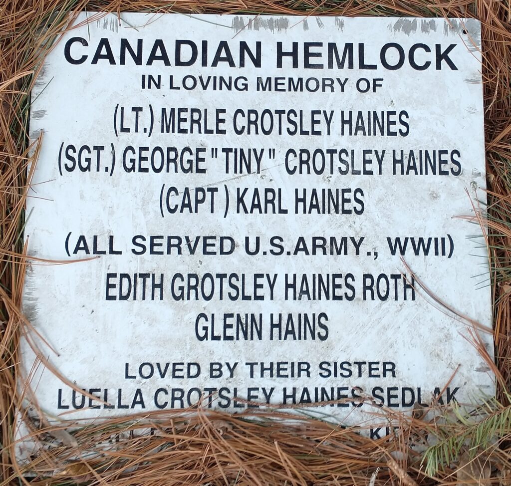 THE HAINES FAMILY CANADIAN HEMLOCK MEMORIAL TREE PLAQUE