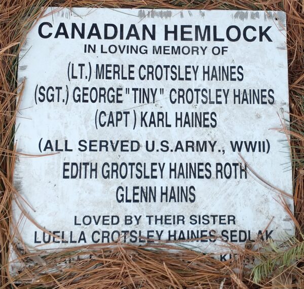 THE HAINES FAMILY CANADIAN HEMLOCK MEMORIAL TREE PLAQUE
