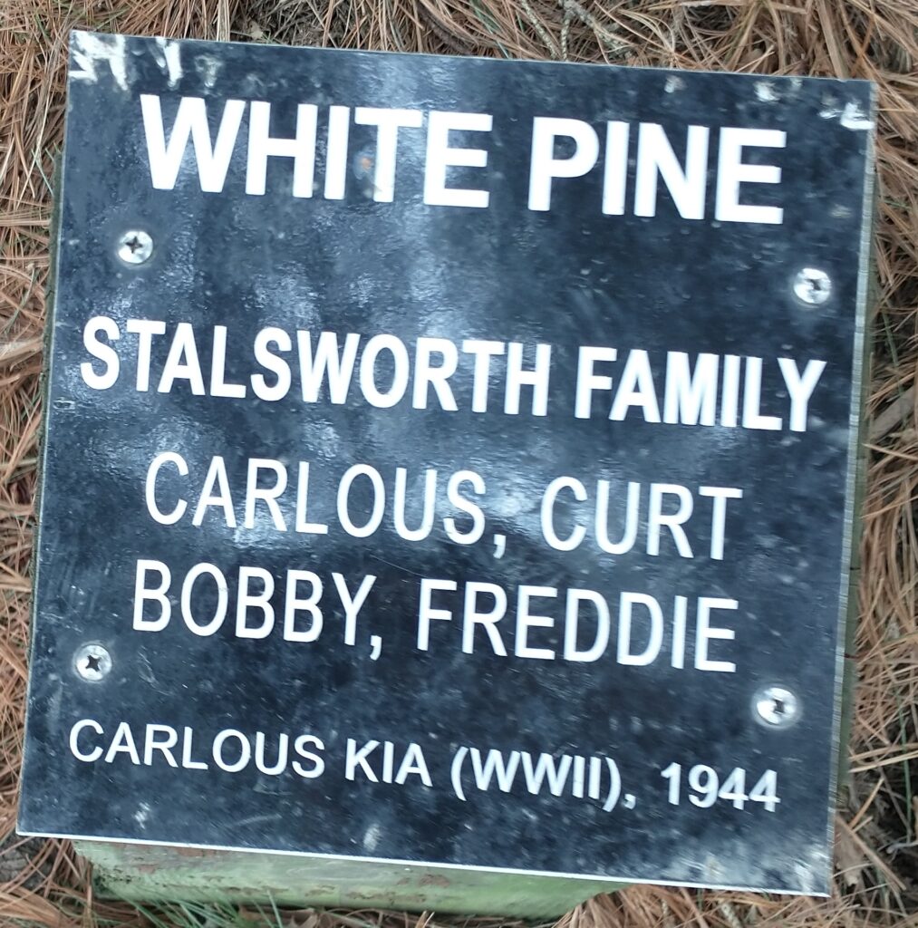 STALSWORTH FAMILY WHITE PINE MEMORIAL TREE PLAQUE